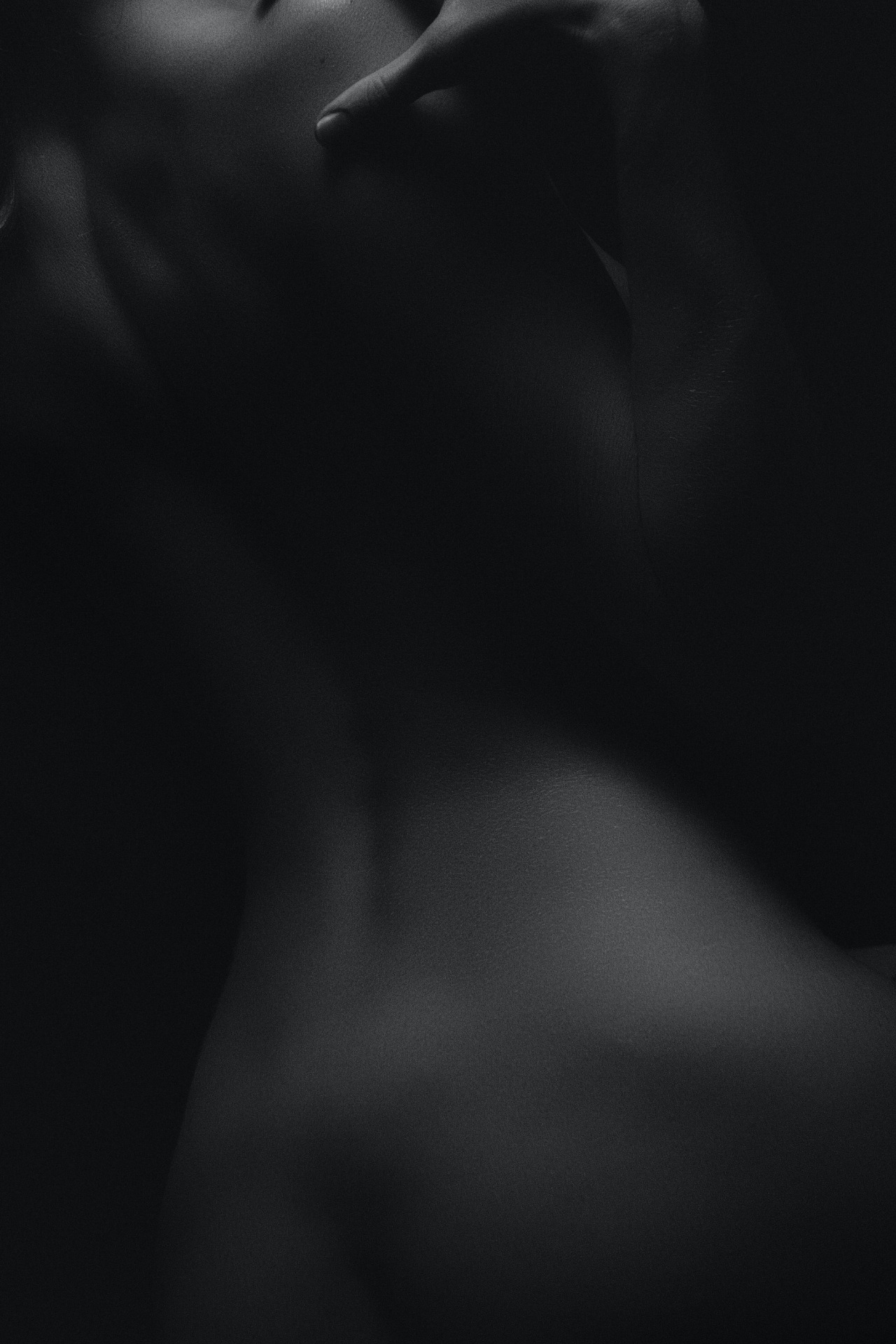 Photo by Alexander Krivitskiy on Unsplash